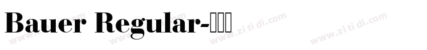 Bauer Regular字体转换